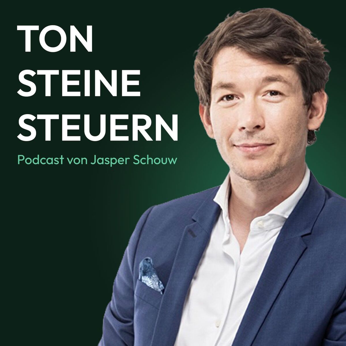 Show cover of Ton Steine Steuern