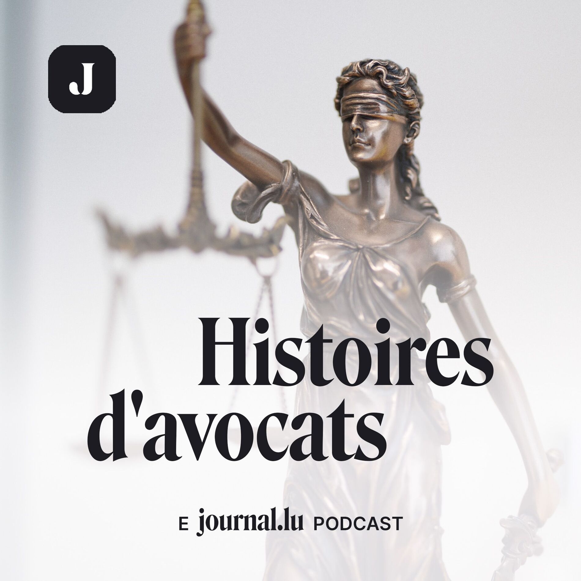 Show cover of Histoires d'avocats