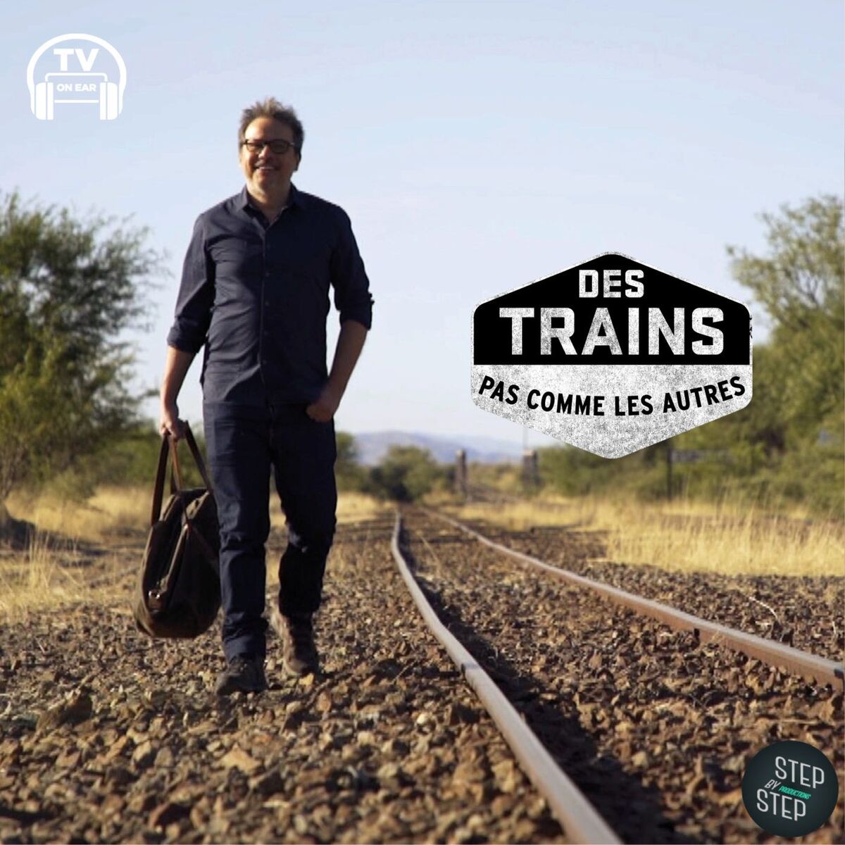 Show cover of DES TRAINS PAS COMME LES AUTRES