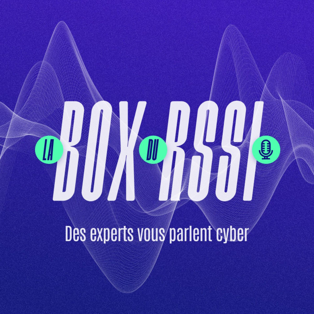 Show cover of La Box du RSSI