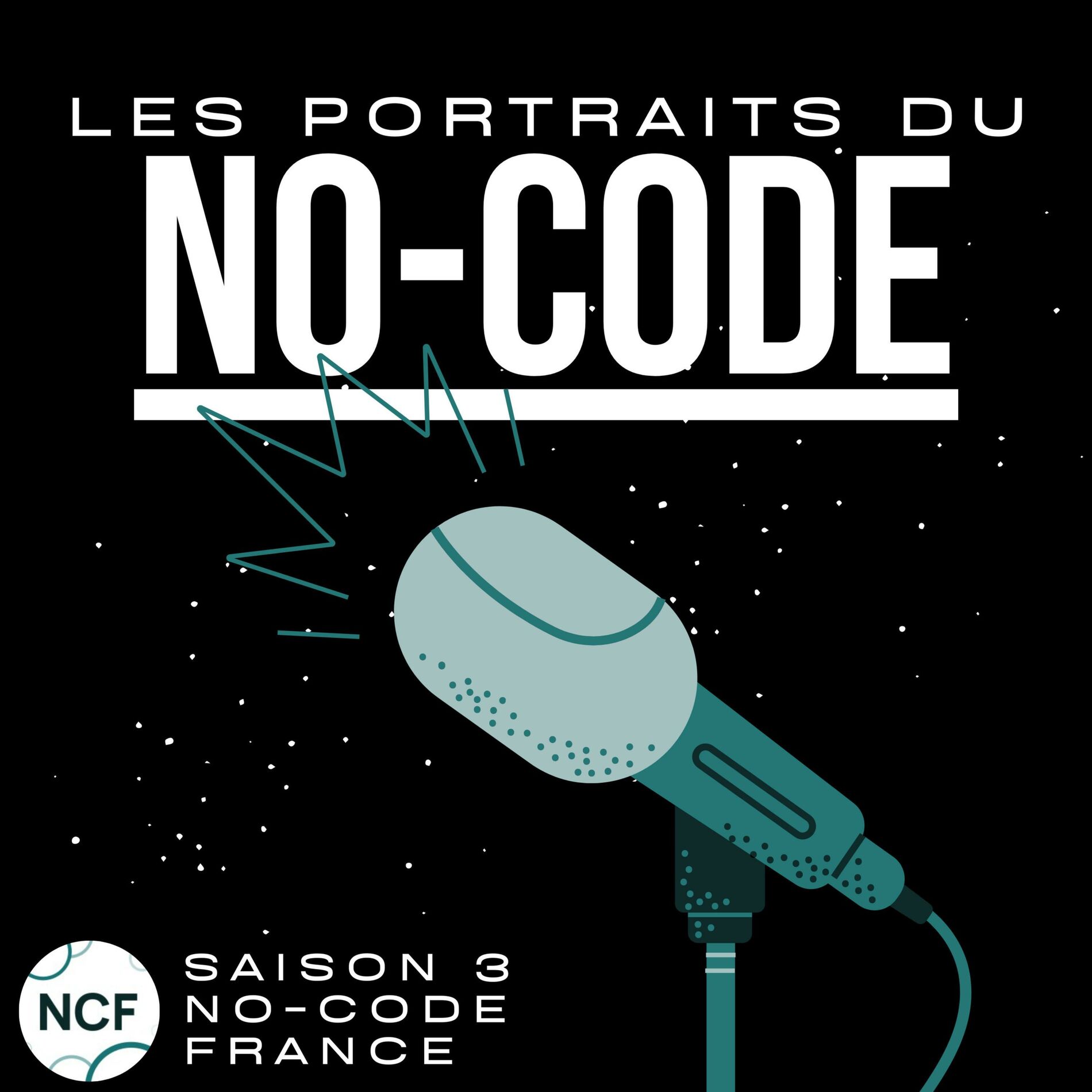 Show cover of Les portraits du No-Code