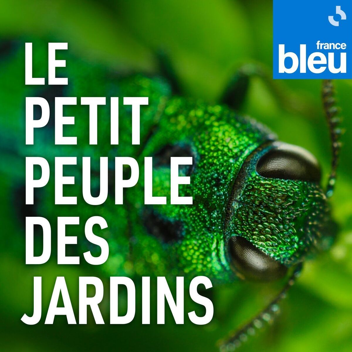 Show cover of Le petit peuple des jardins