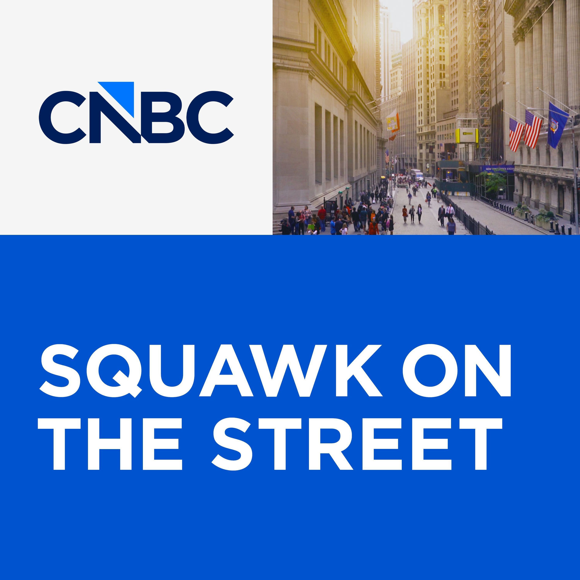 Show cover of Squawk on the Street