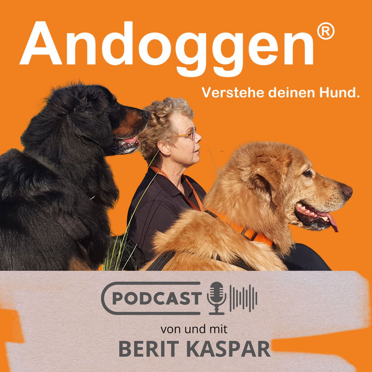 Show cover of Andoggen - verstehe deinen Hund.