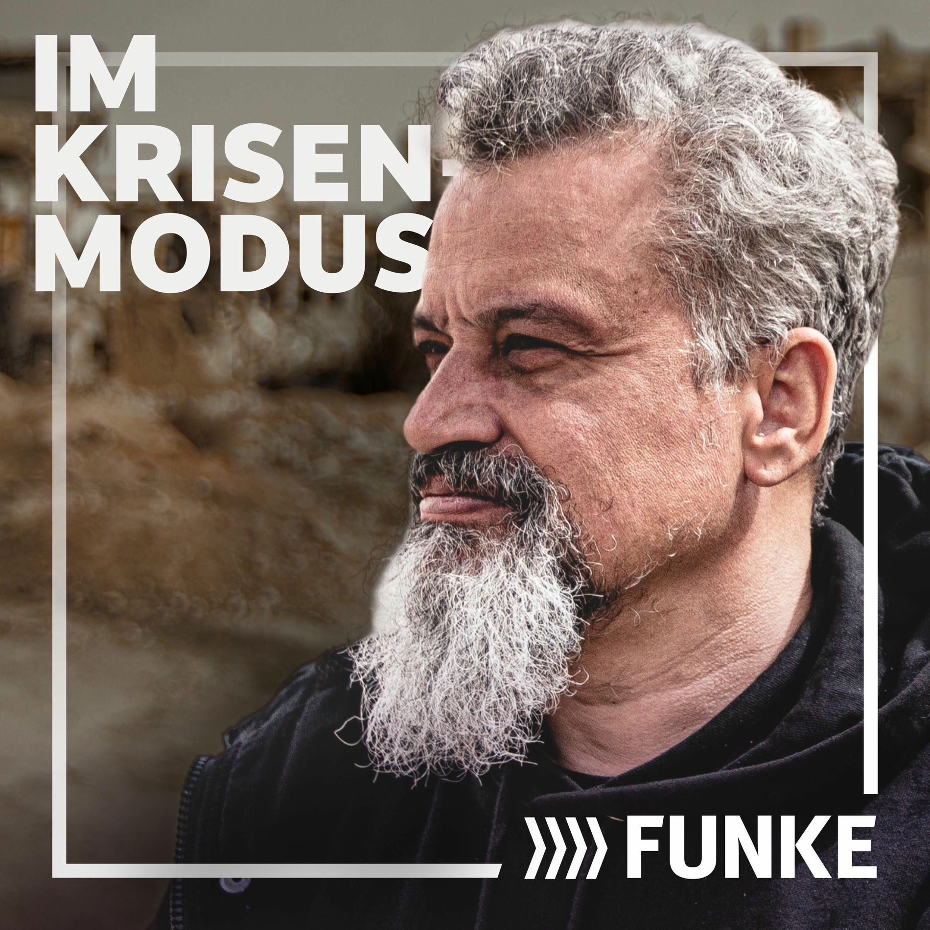 Show cover of Im Krisenmodus