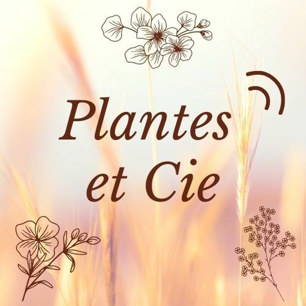 Show cover of Plantes et Cie