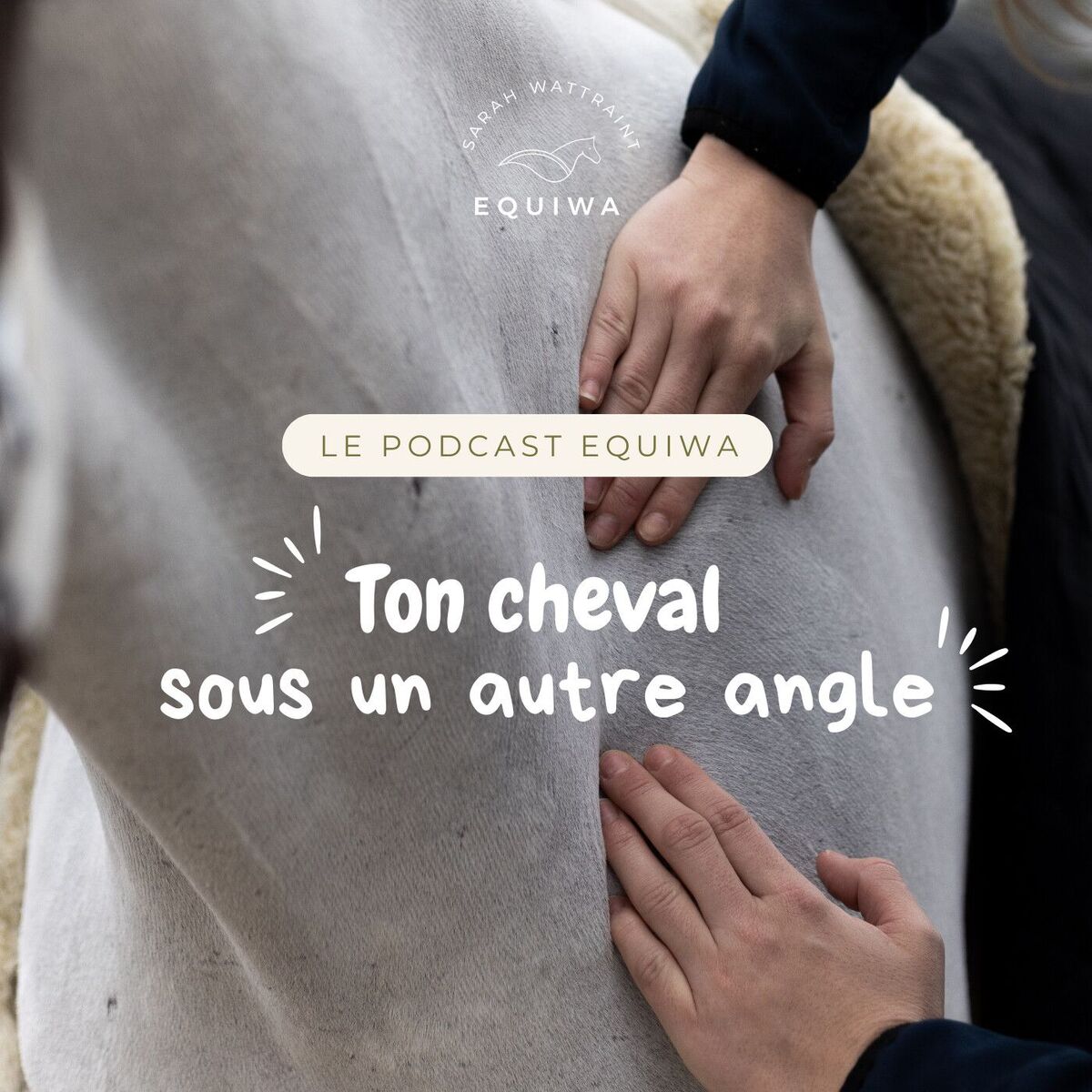 Show cover of Ton cheval sous un autre angle