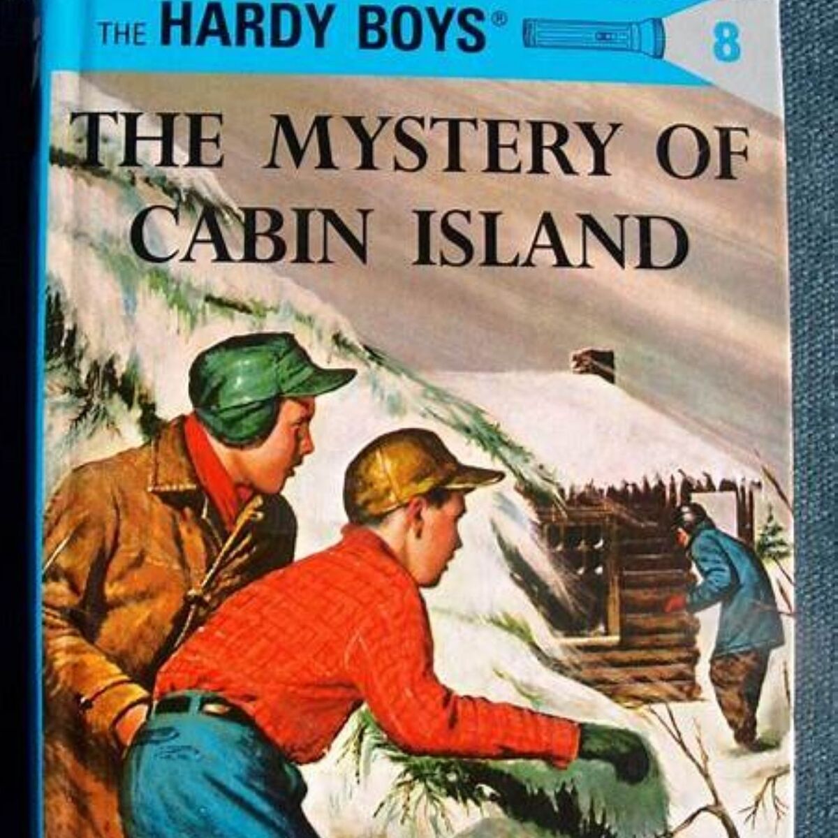 Show cover of Hardy Boys: The Mystery of Cabin Island