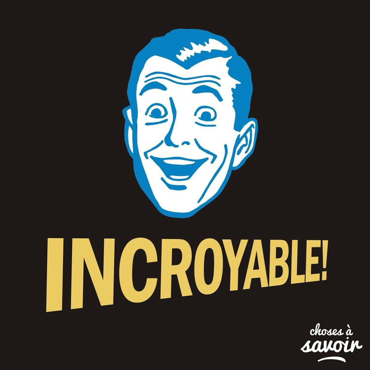Show cover of Incroyable !