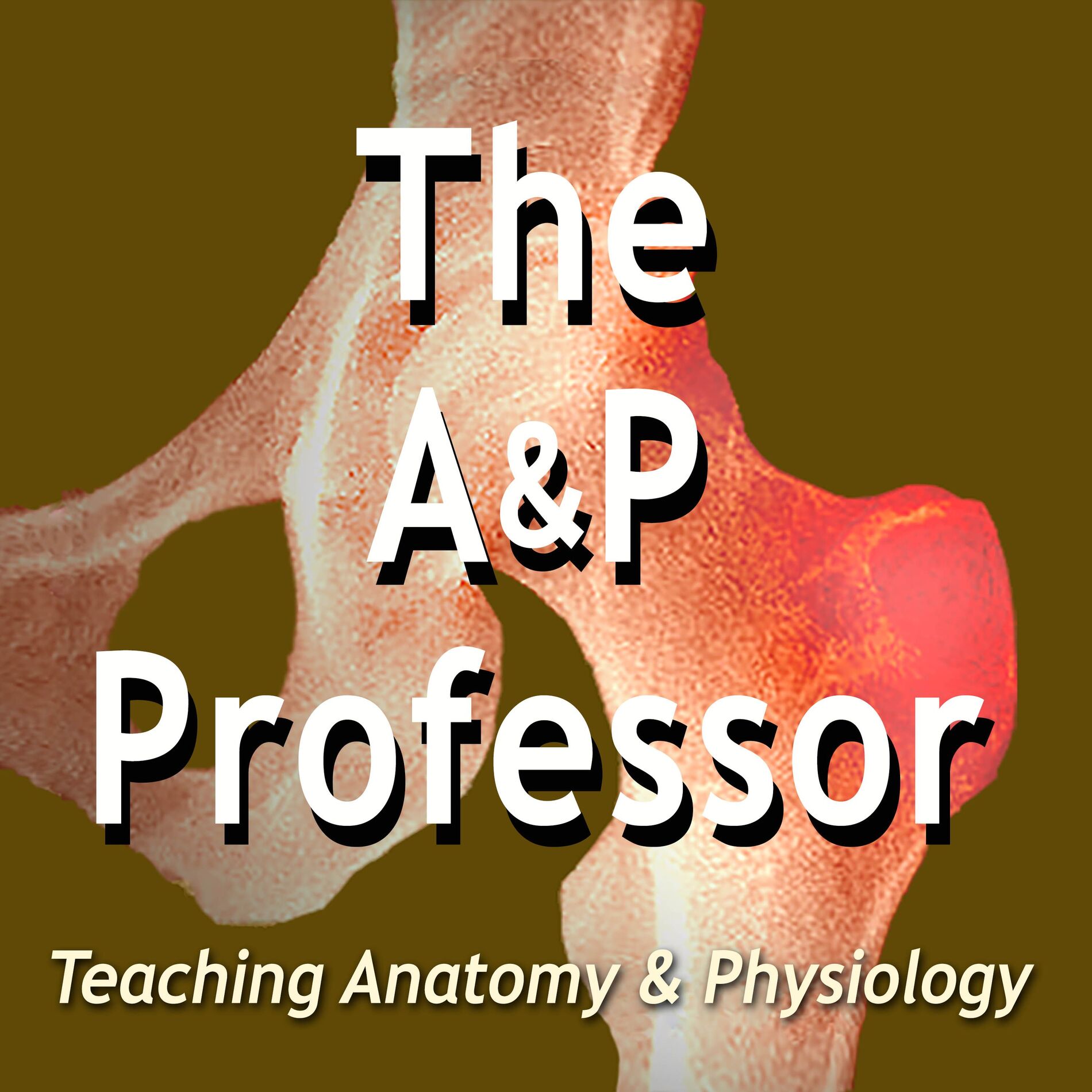 Show cover of The A&P Professor
