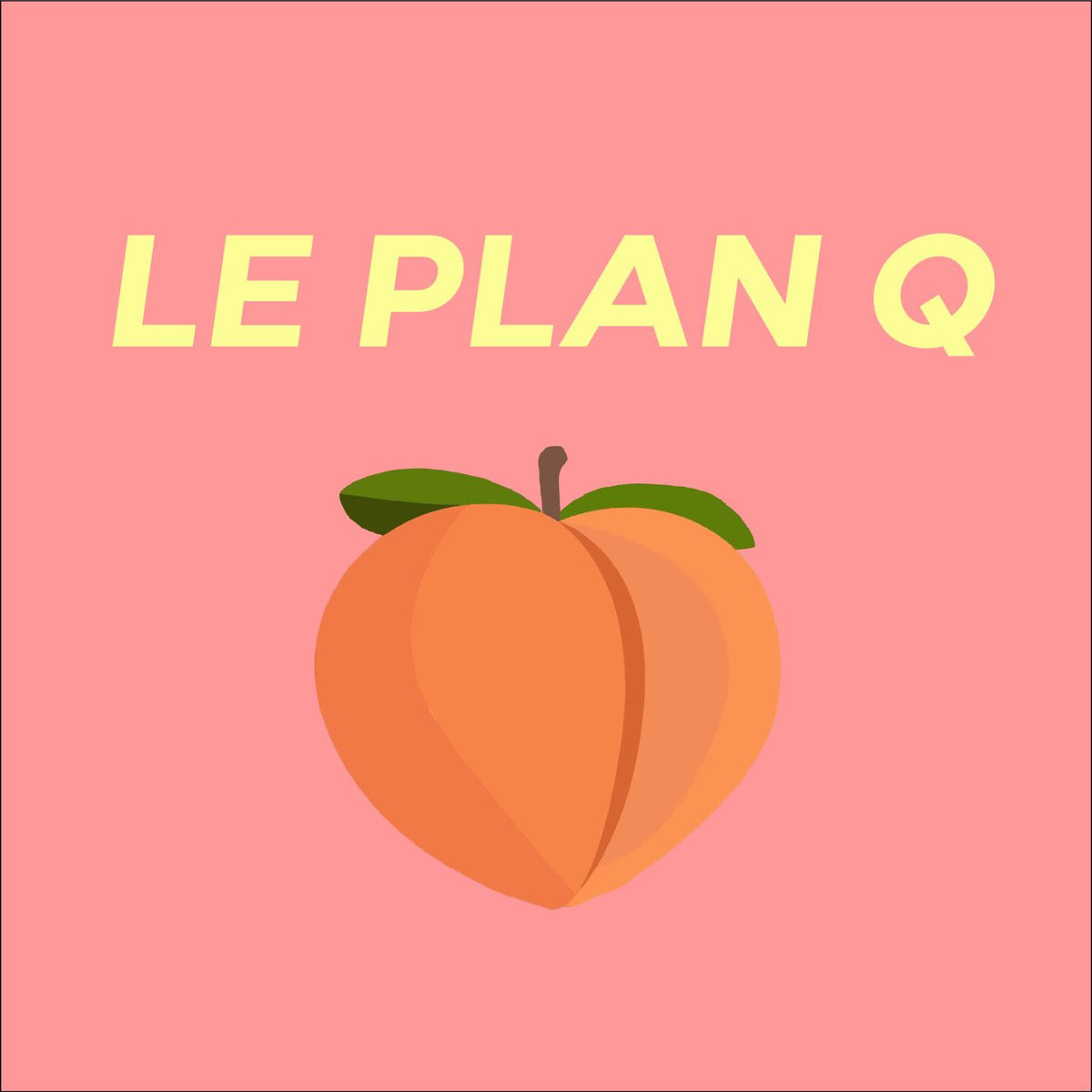 Show cover of Le Plan Q