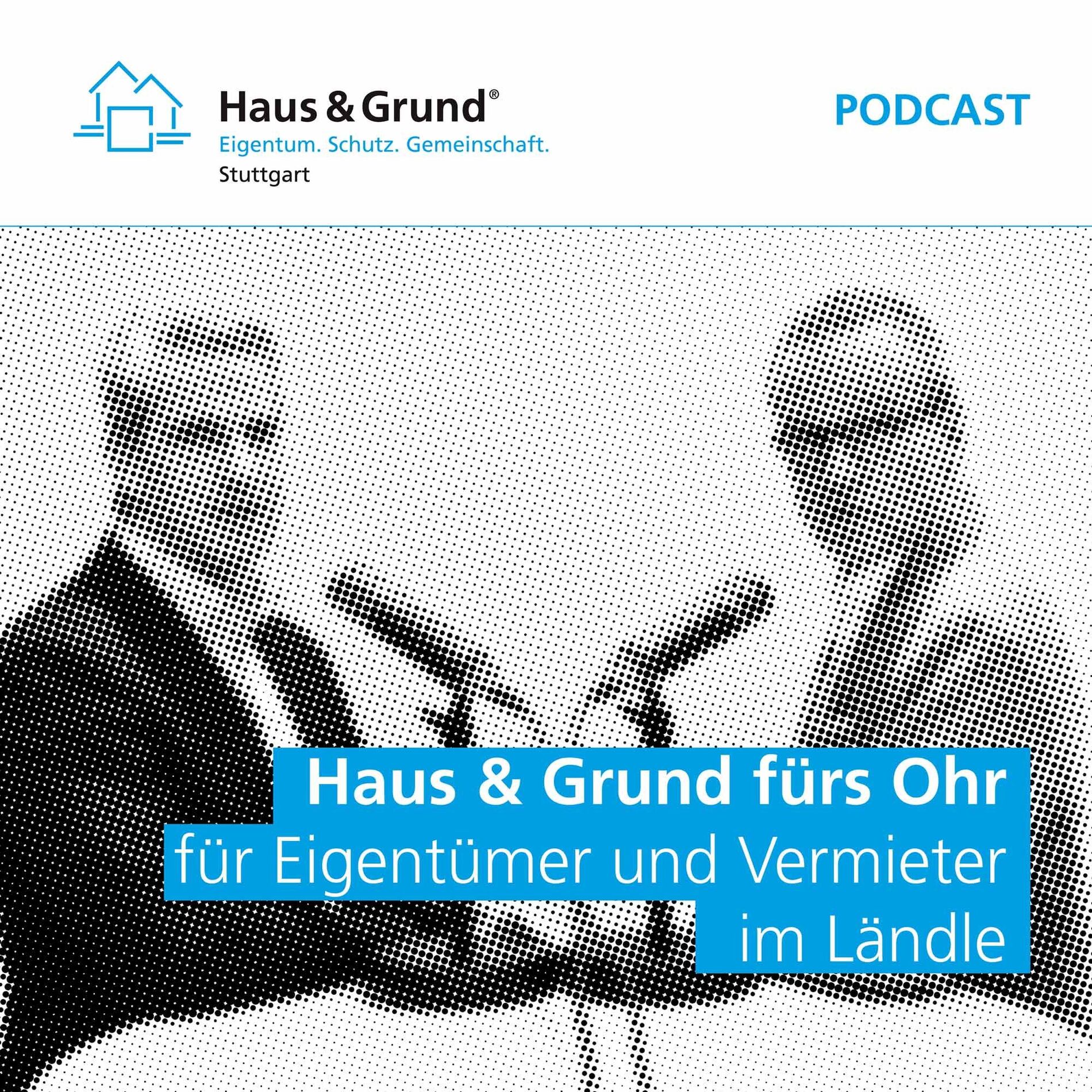 Show cover of Für Eigentümer und Vermieter im Ländle.