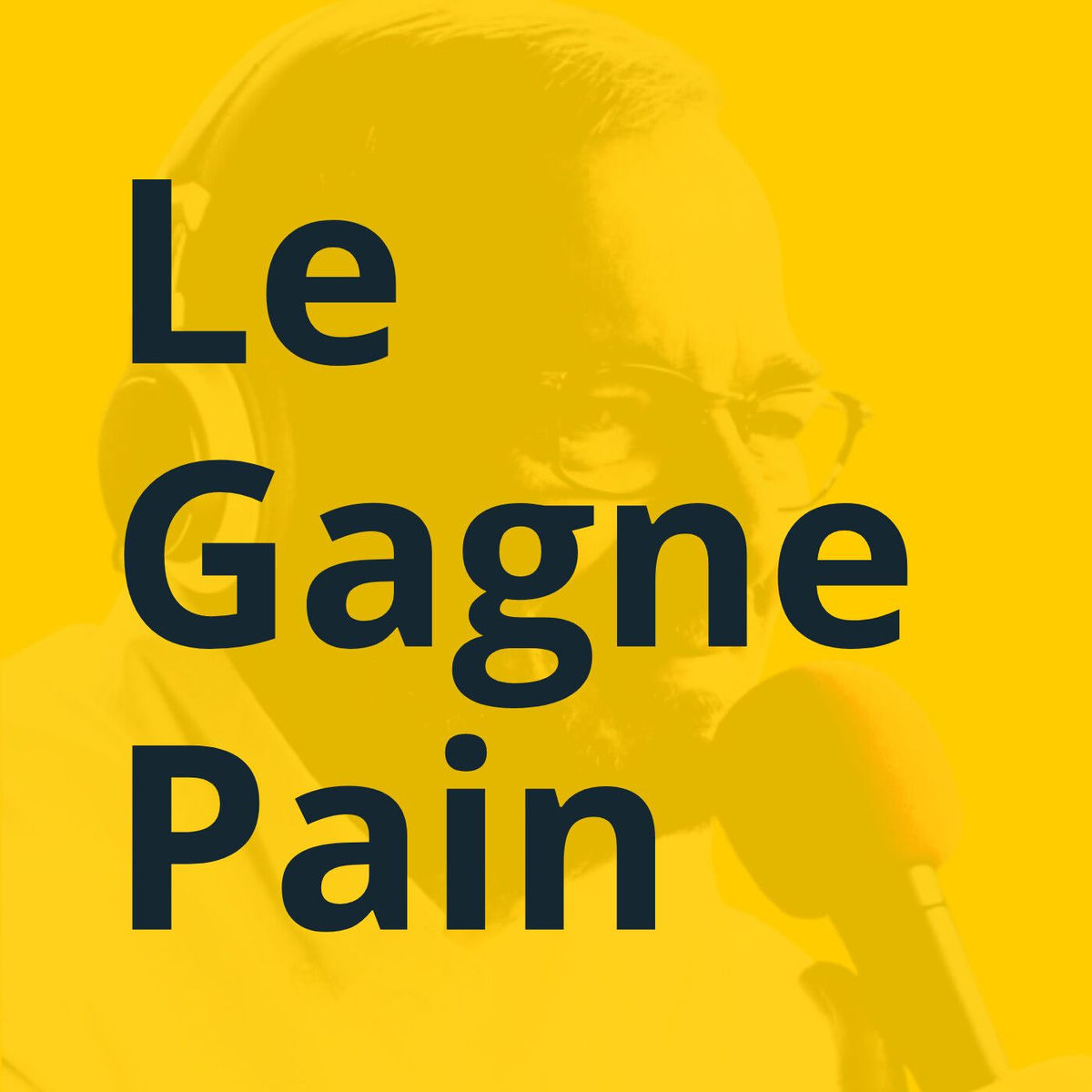 Show cover of Pour comprendre les Métiers du Digital
