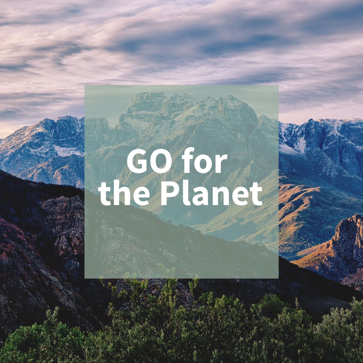 Show cover of GO FOR THE PLANET - DIGITAL SUSTAINABILITY