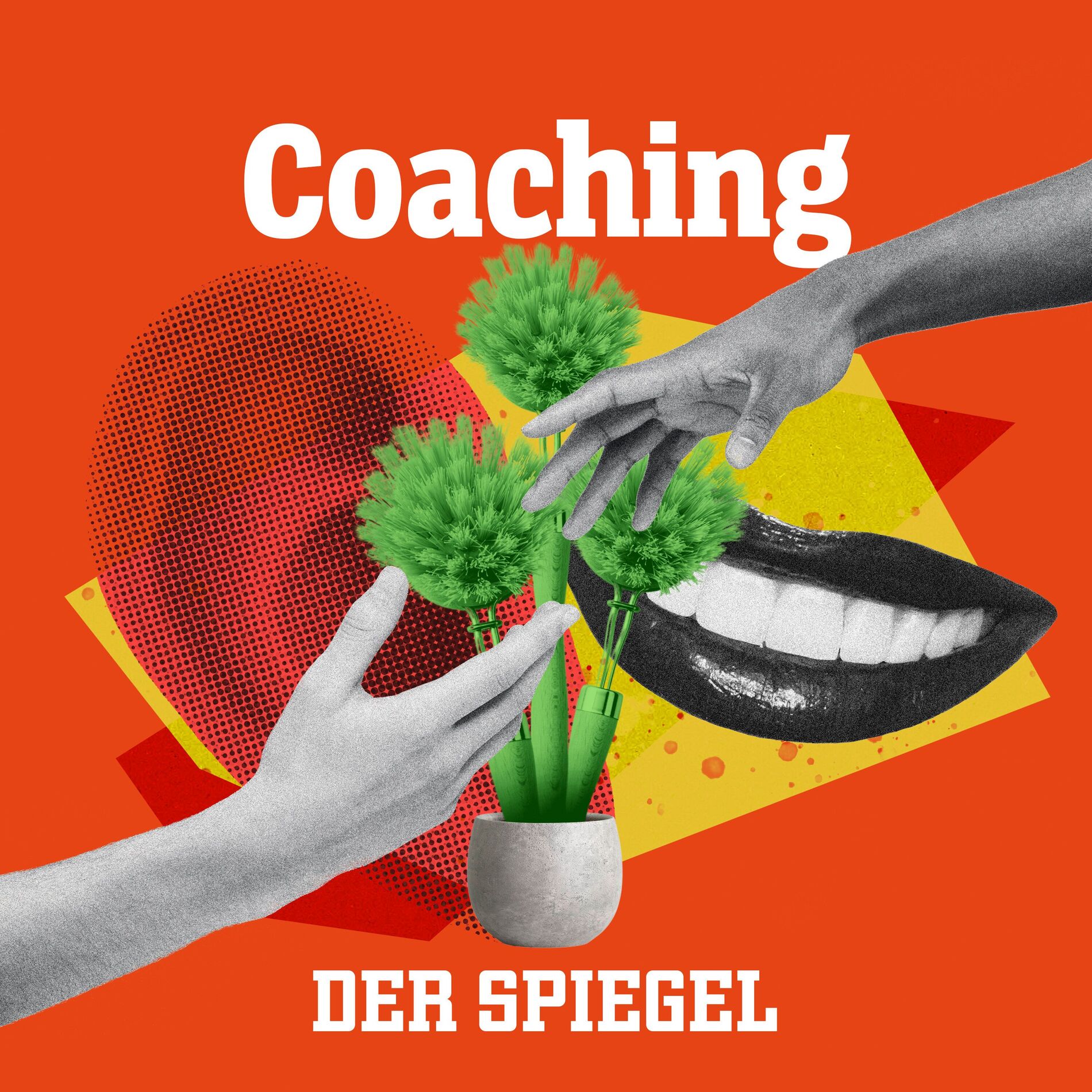 Show cover of SPIEGEL Coaching