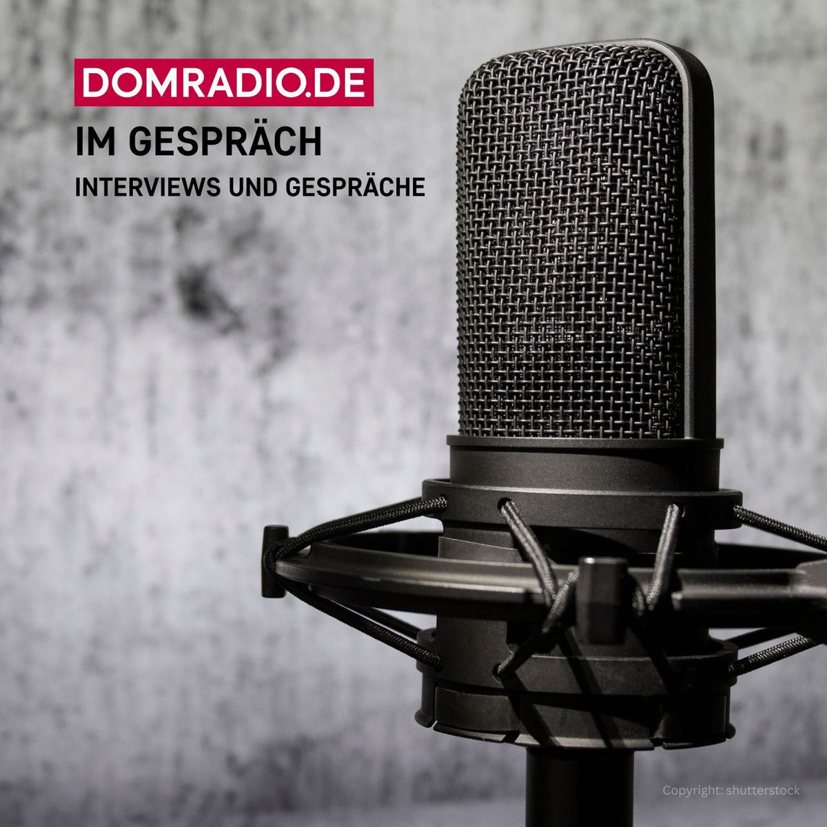 Show cover of Im Gespräch