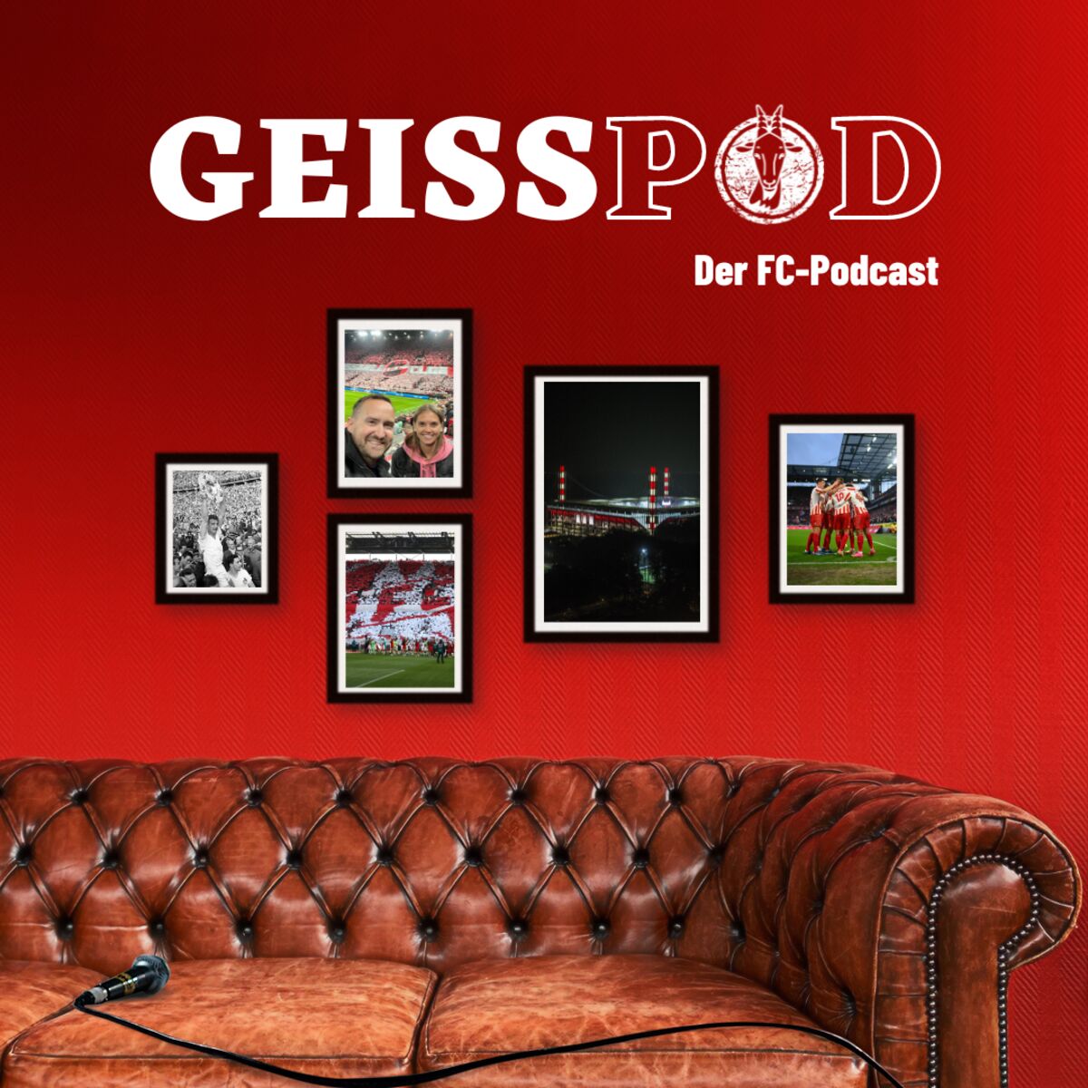 Show cover of GEISSPOD