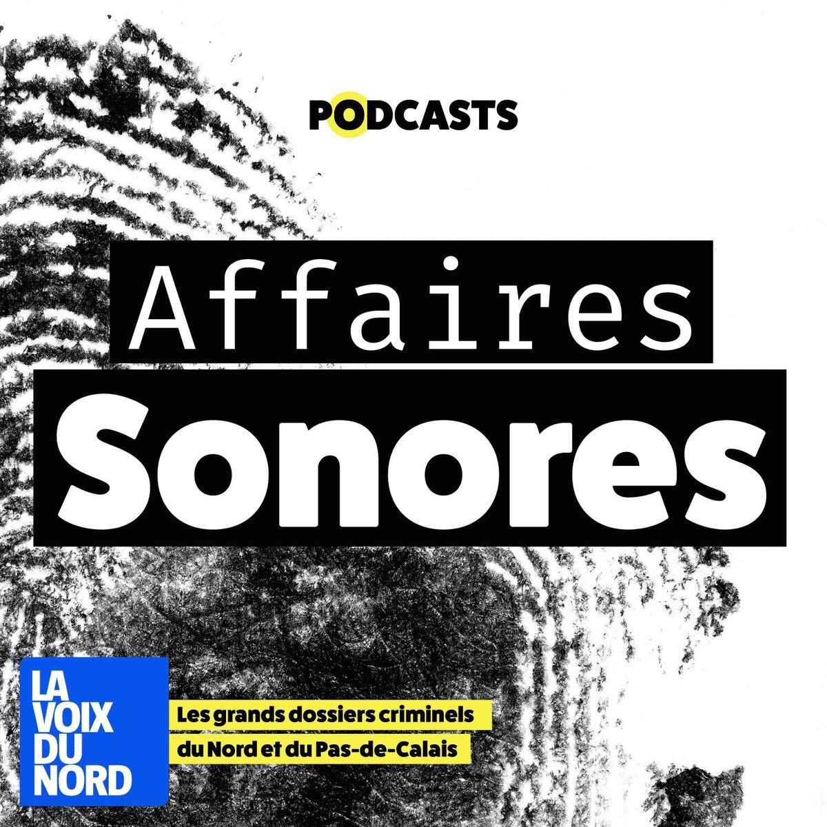 Show cover of Affaires Sonores, le récit des grandes affaires criminelles du Nord Pas-de-Calais