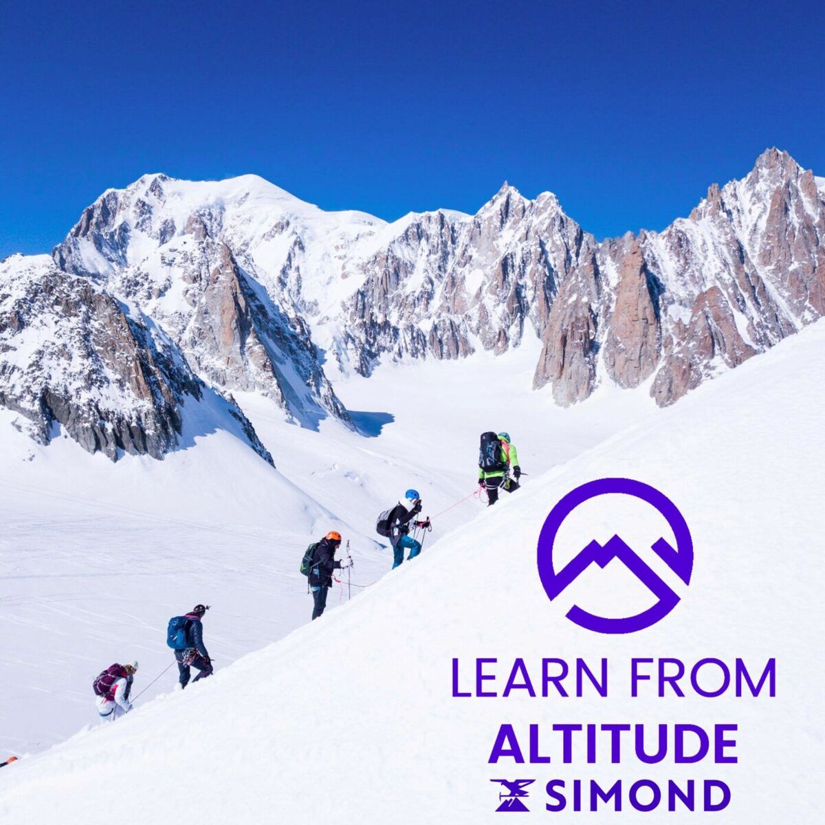 Show cover of Learn From Altitude