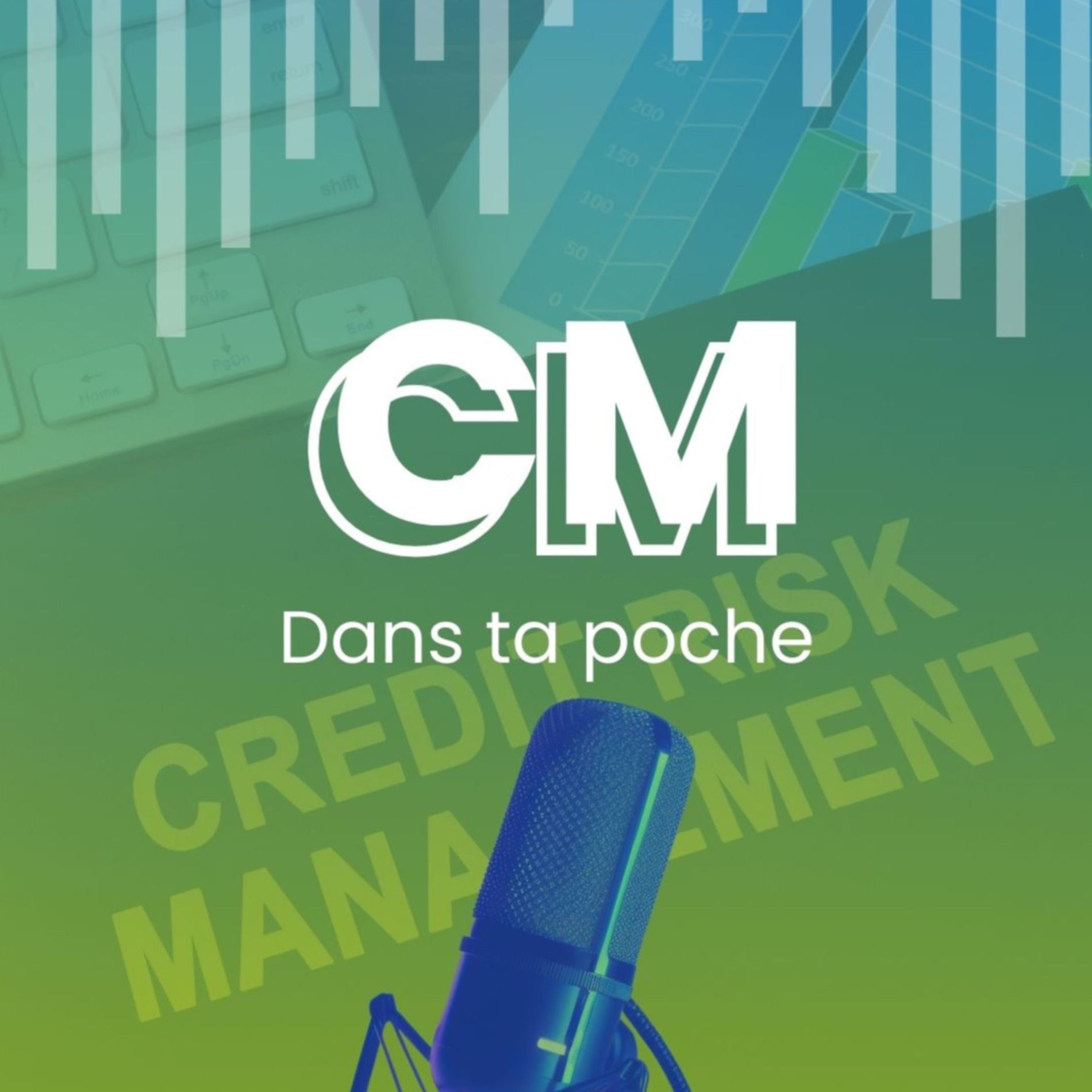 Show cover of Credit Management dans ta poche