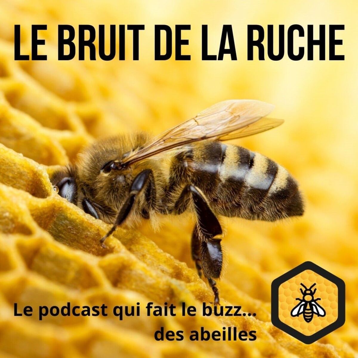 Show cover of Le Bruit de la Ruche