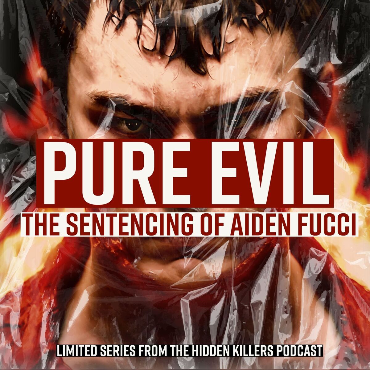 Show cover of Pure Evil: The Sentencing Of Aiden Fucci