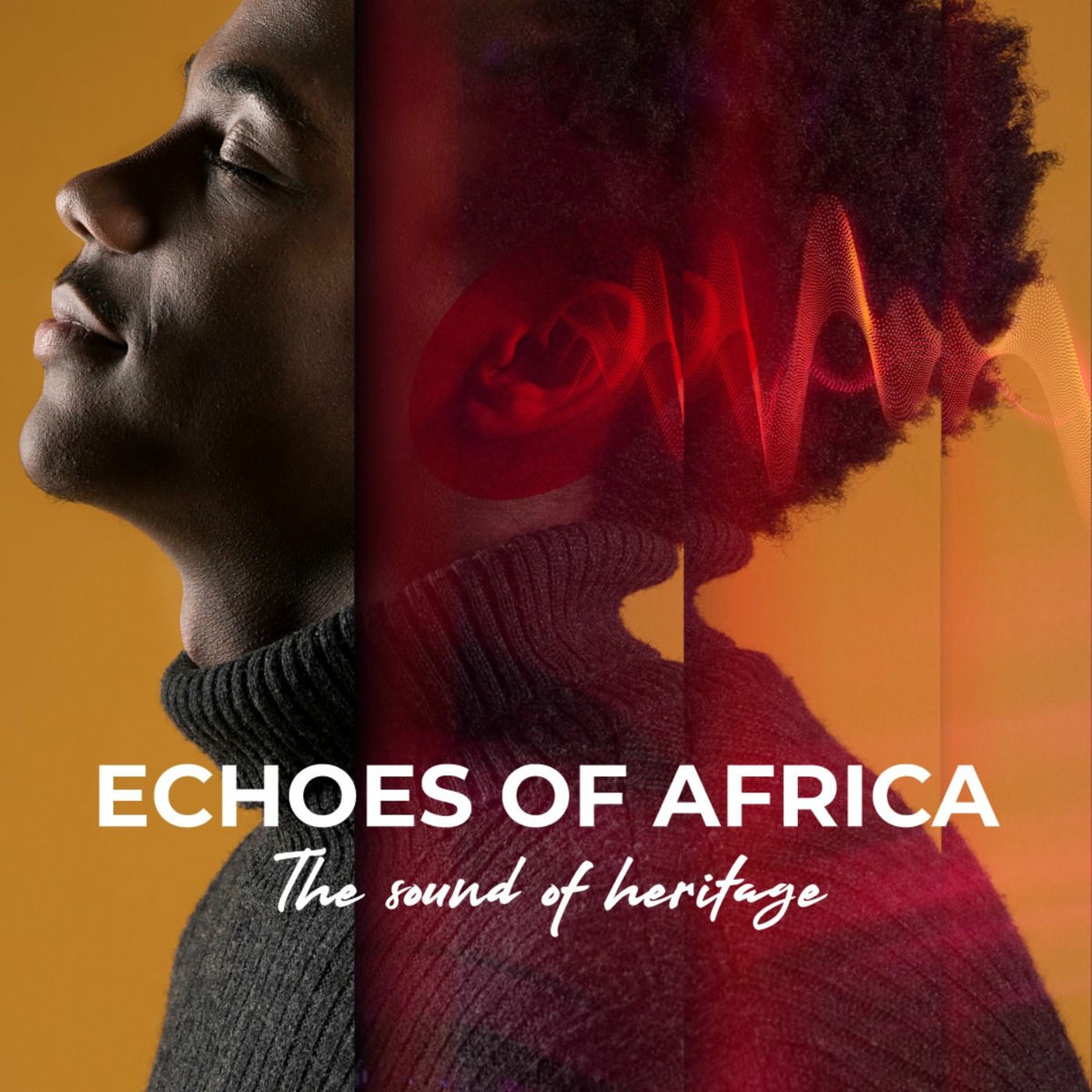 Show cover of Echoes of Africa - Africanews Podcast
