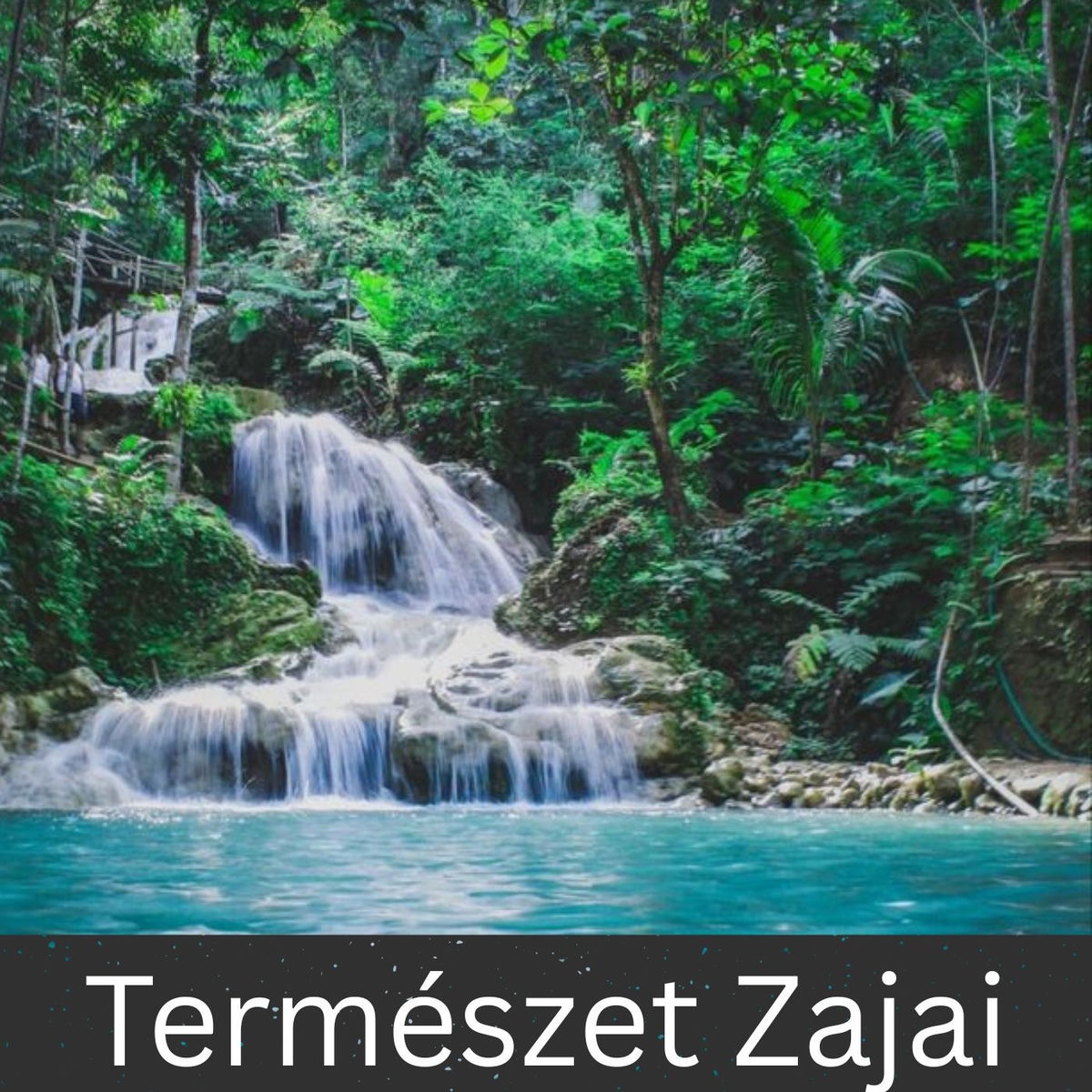 Show cover of Természet Zajai