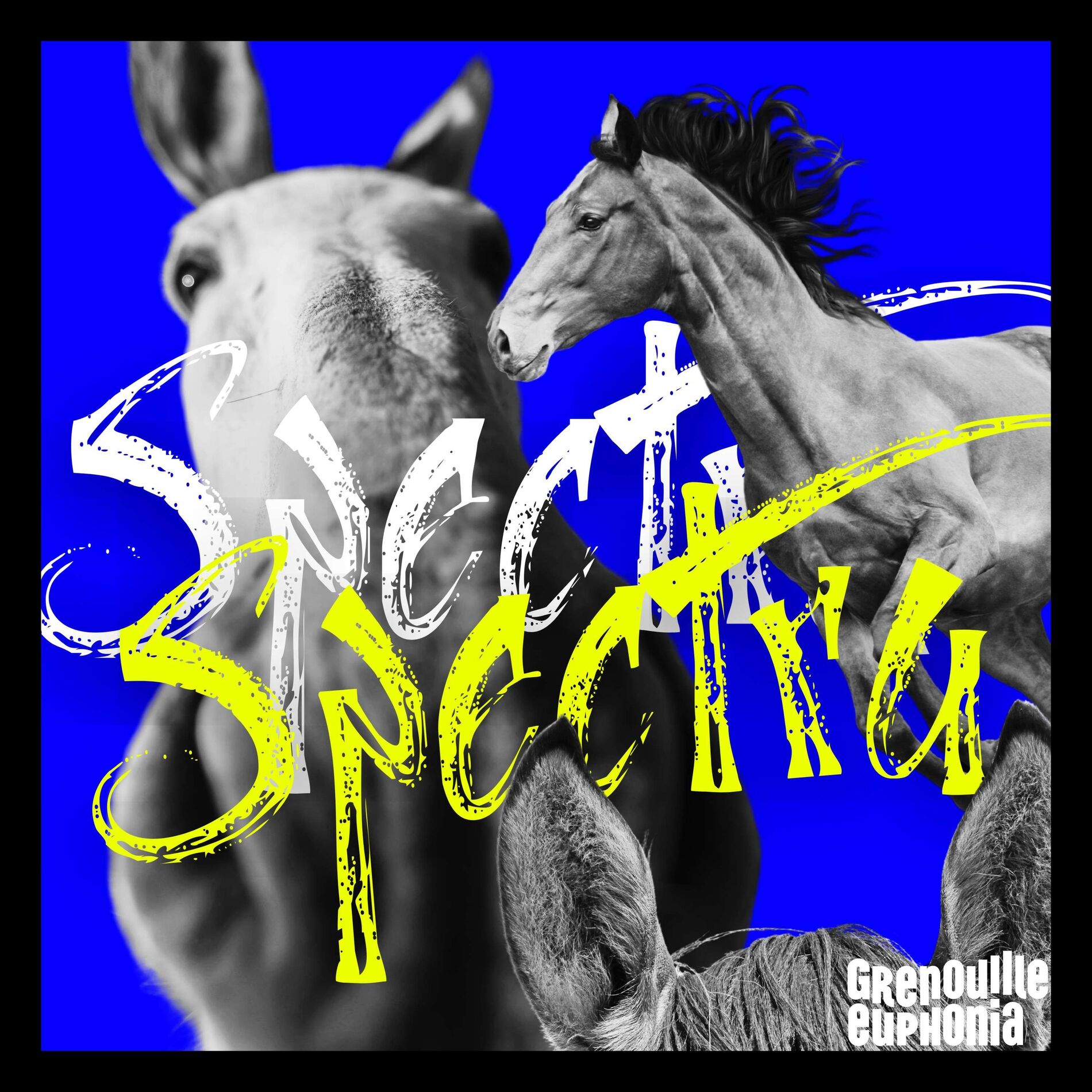 Show cover of Spectra