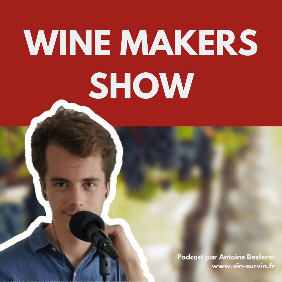 Show cover of Wine Makers Show : le podcast sur le vin