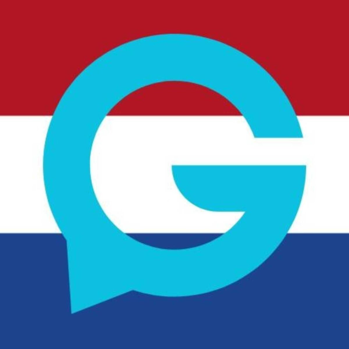 Show cover of ChatGPT Français