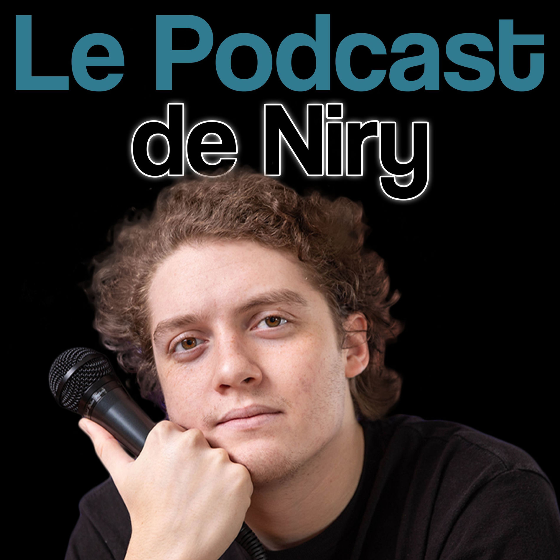Show cover of Le podcast de Niry