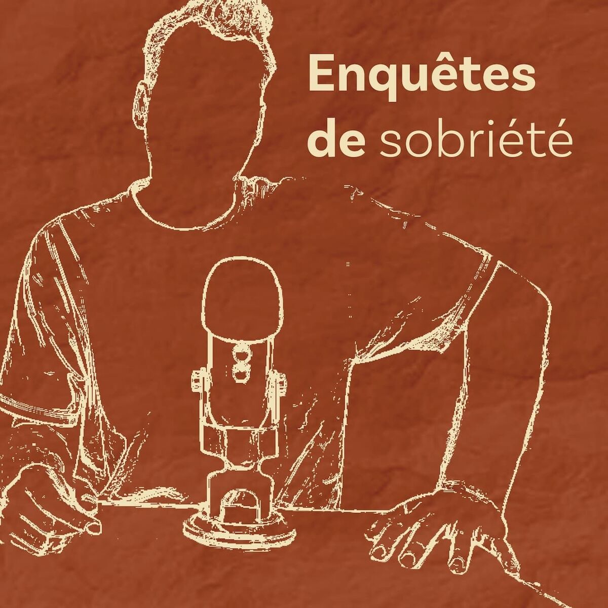 Show cover of Enquêtes de sobriété