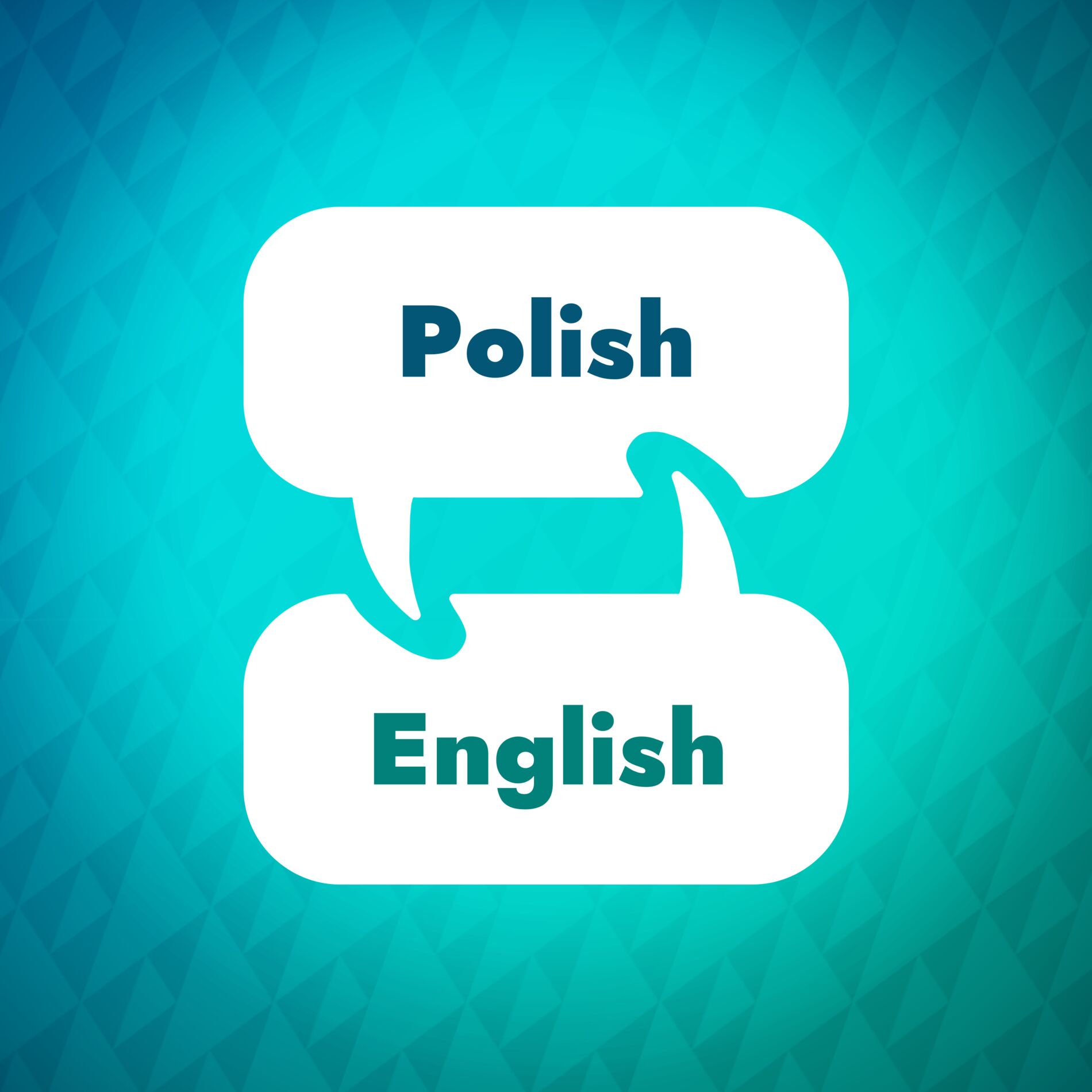 Show cover of Polish Learning Accelerator