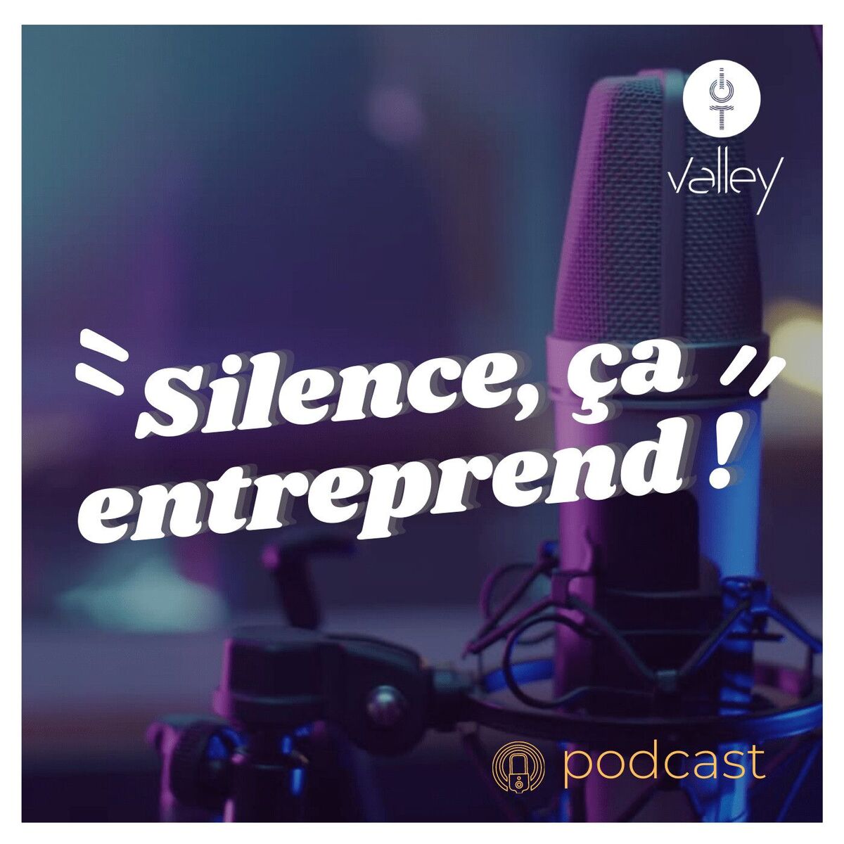 Show cover of Silence, ça entreprend !