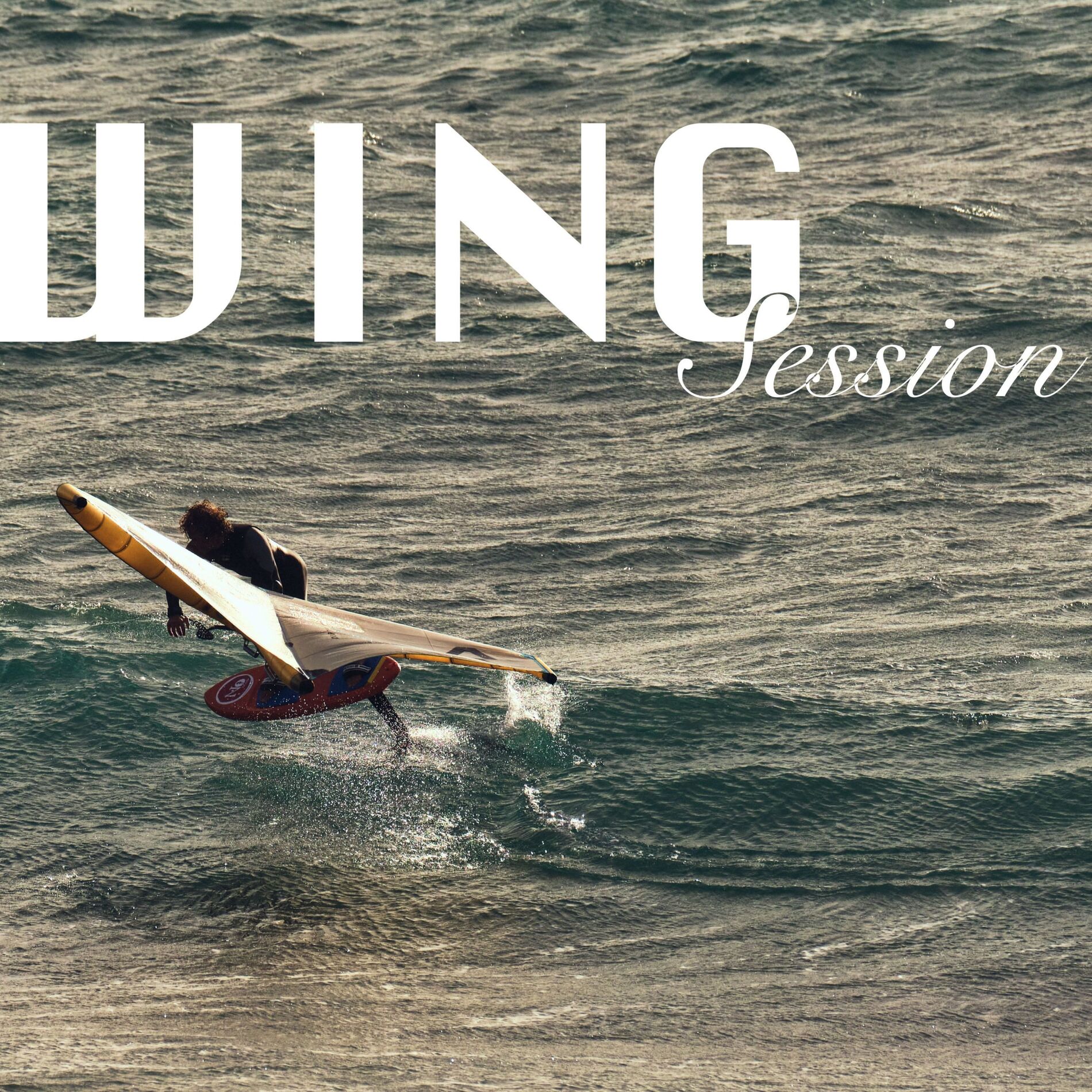 Show cover of Wing Session