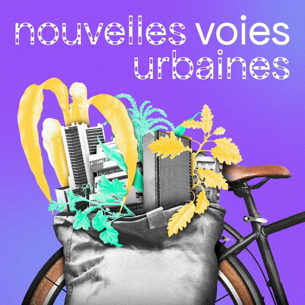 Show cover of Nouvelles Voies Urbaines