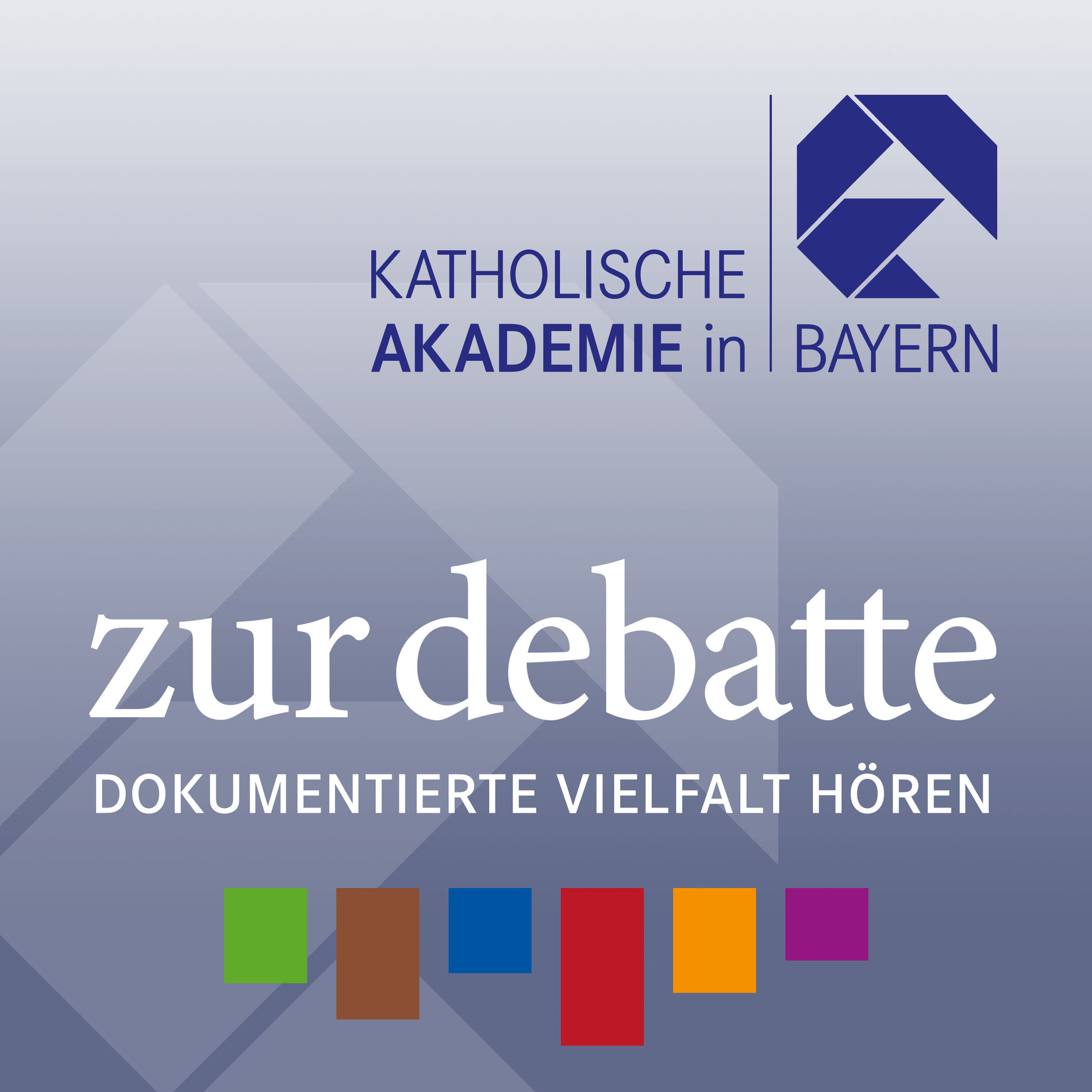 Show cover of zur debatte
