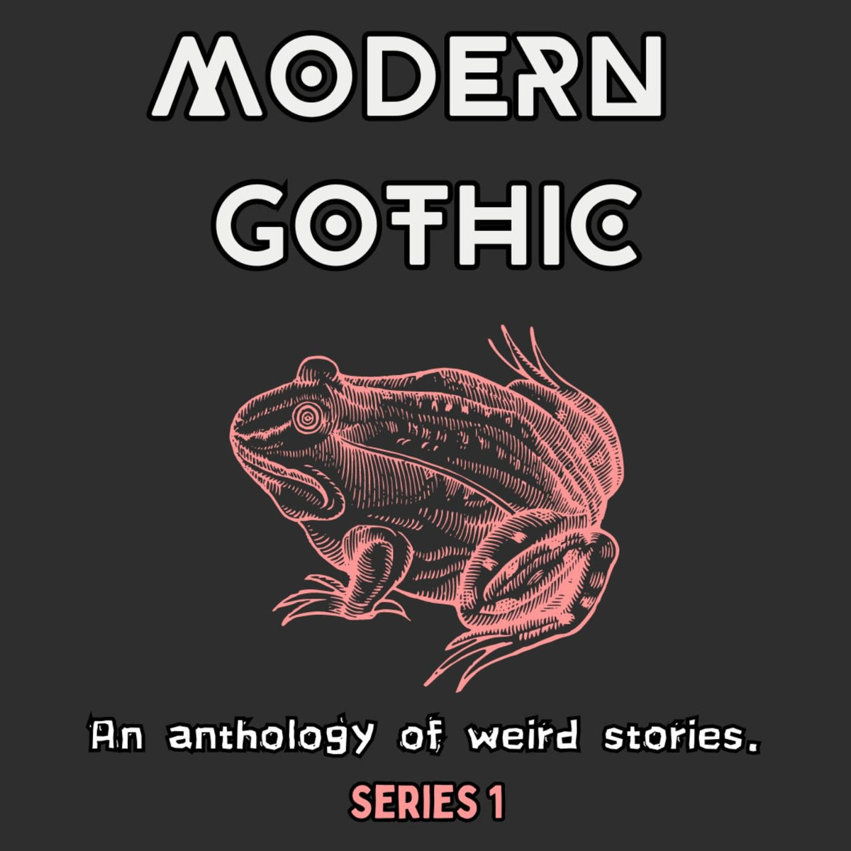 Show cover of Modern Gothic