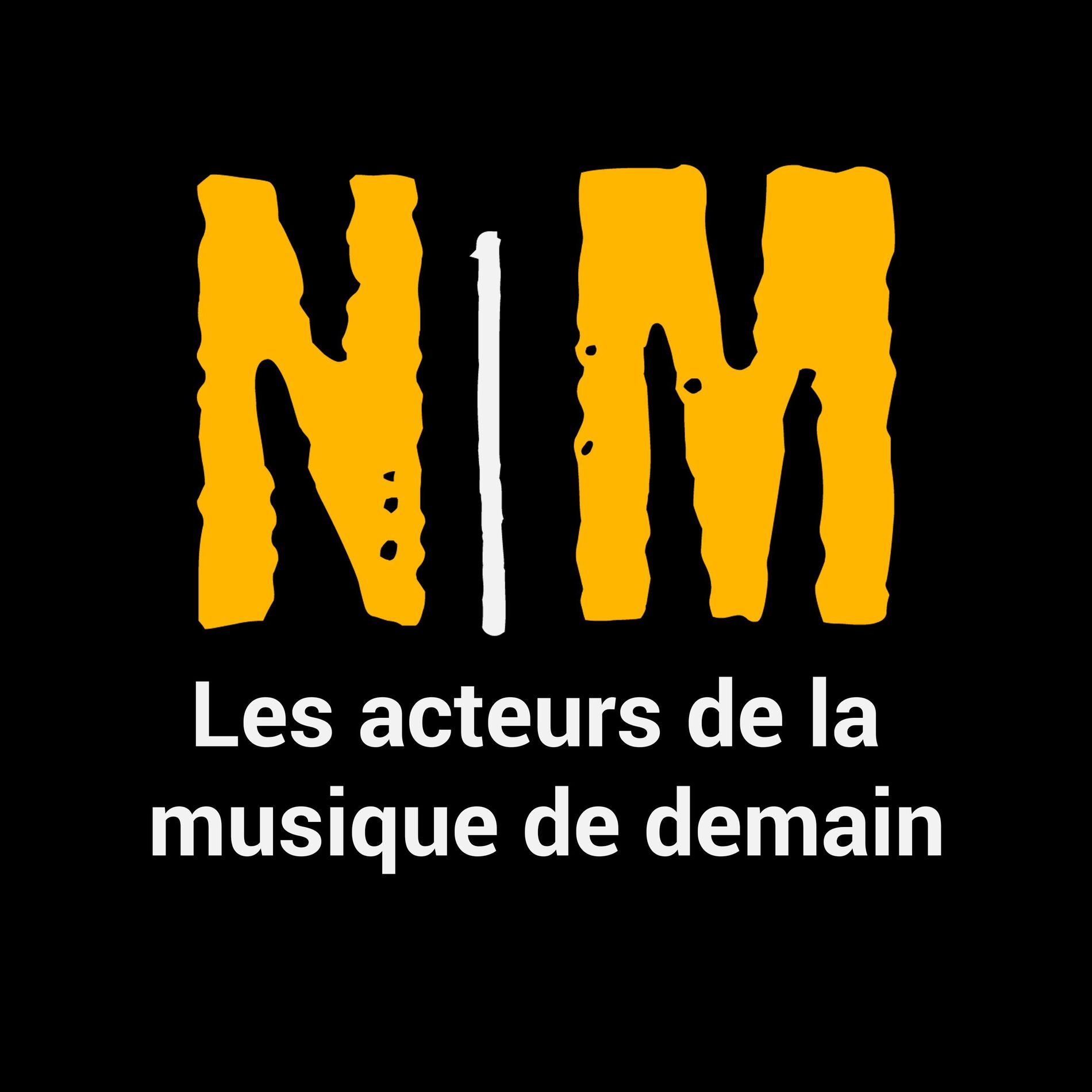 Show cover of Next In Music - Les acteurs de la musique de demain