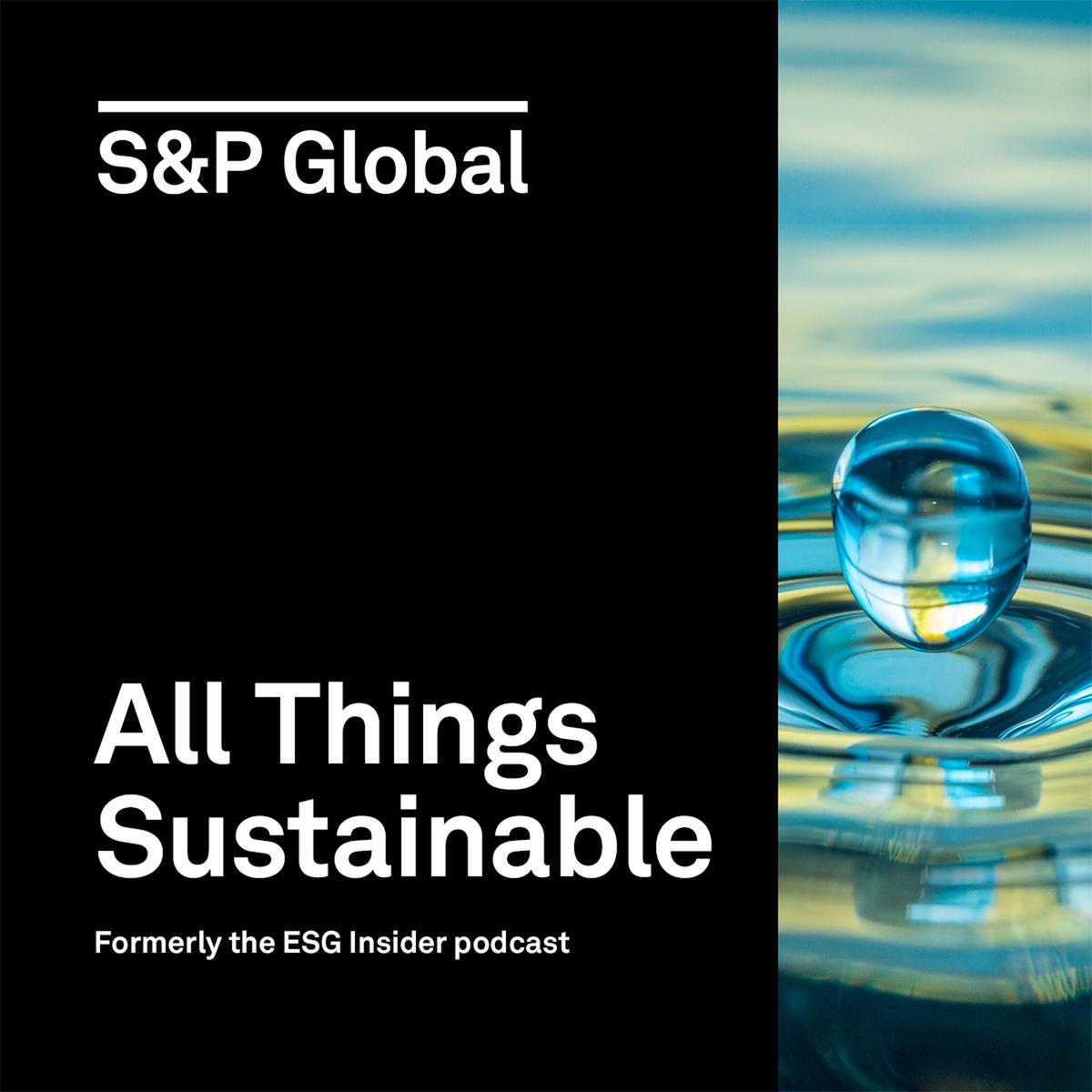 Show cover of All Things Sustainable