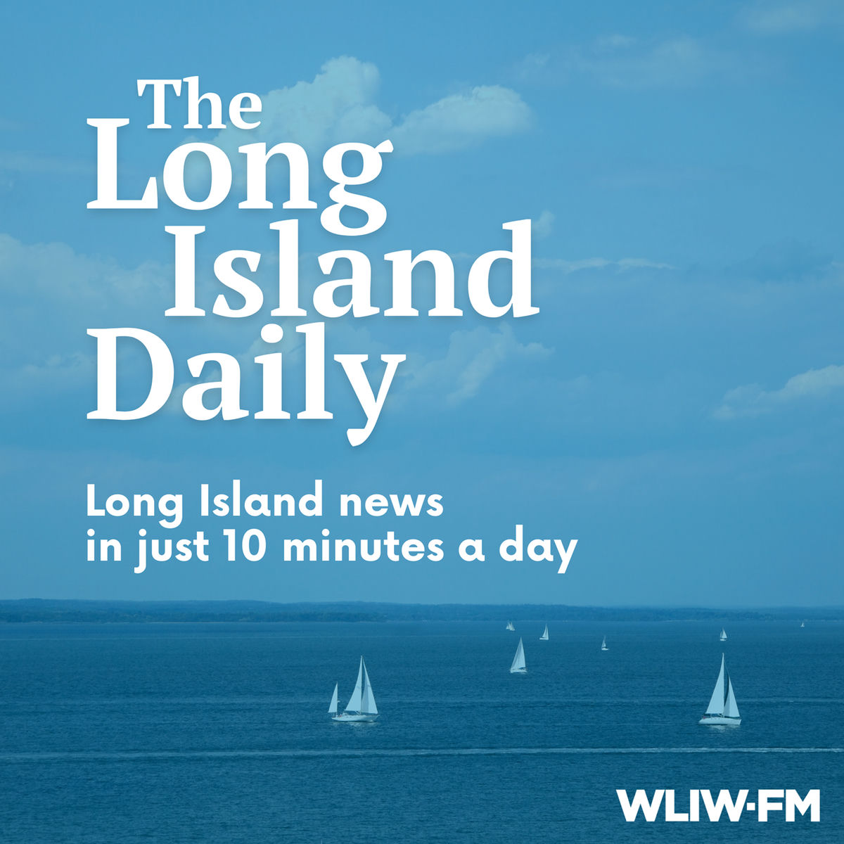 Show cover of The Long Island Daily