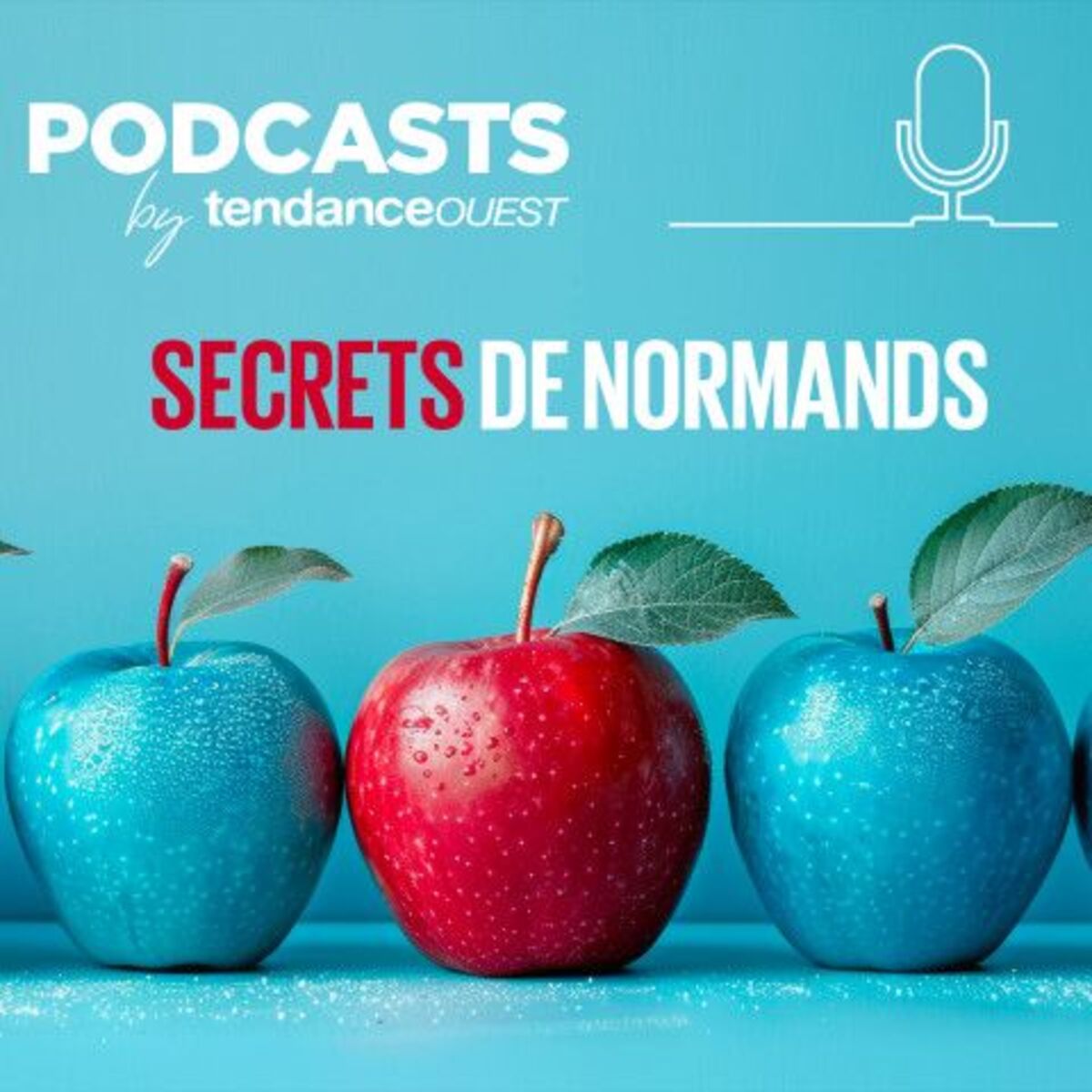 Show cover of Secrets de Normands