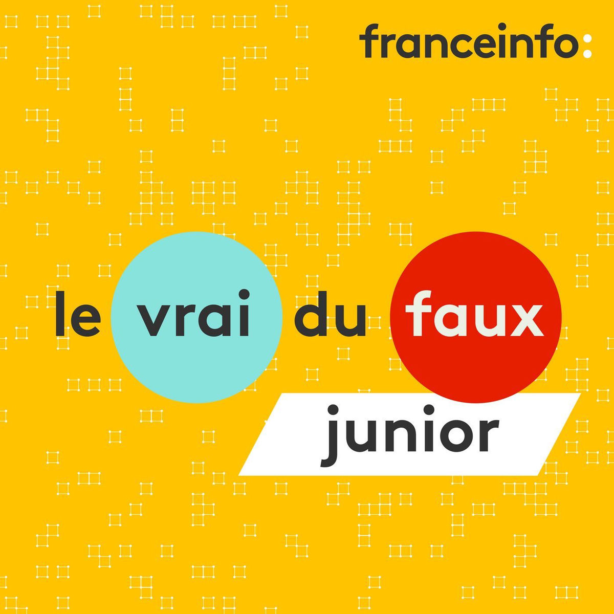 Show cover of Le vrai ou faux junior