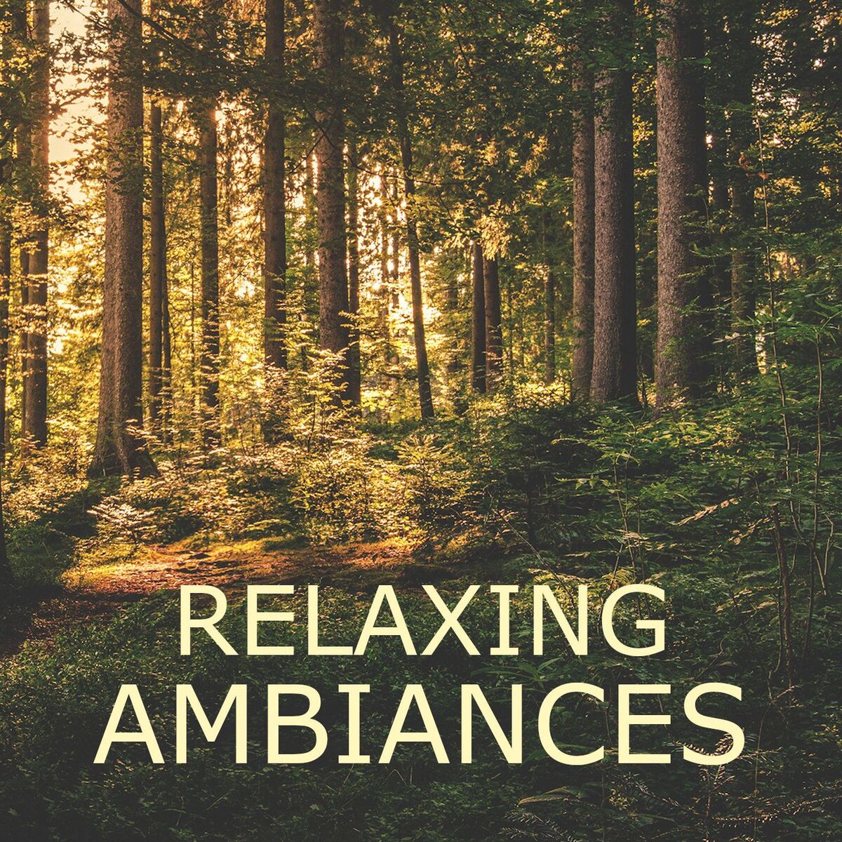 Show cover of Relaxing Ambiances