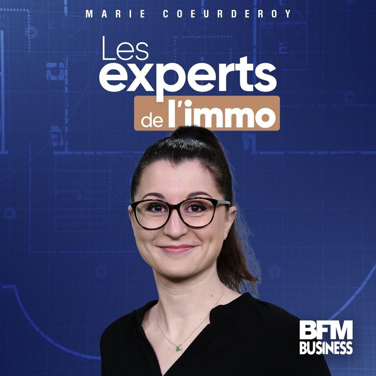 Show cover of Les experts de l'immo