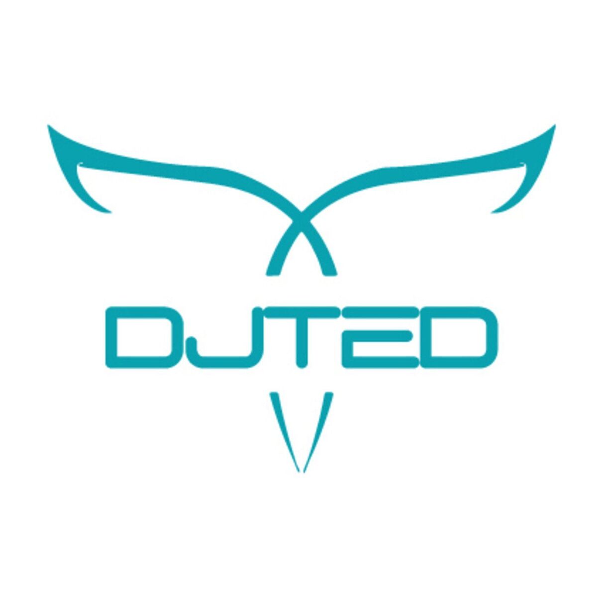 Show cover of DJ Ted Mixes