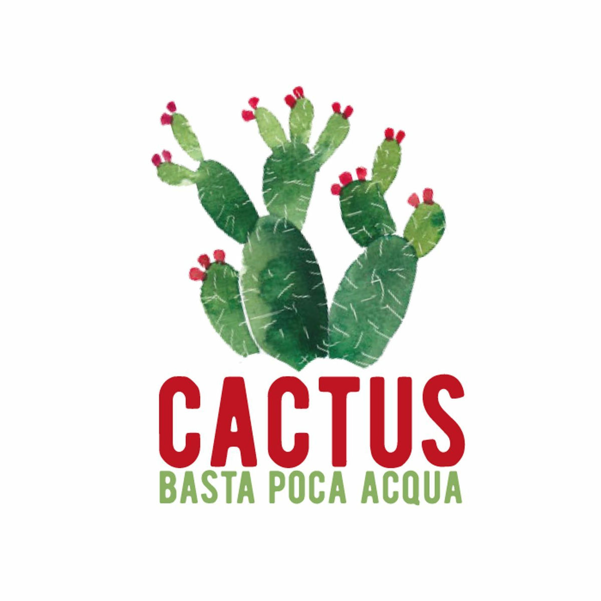 Show cover of Cactus