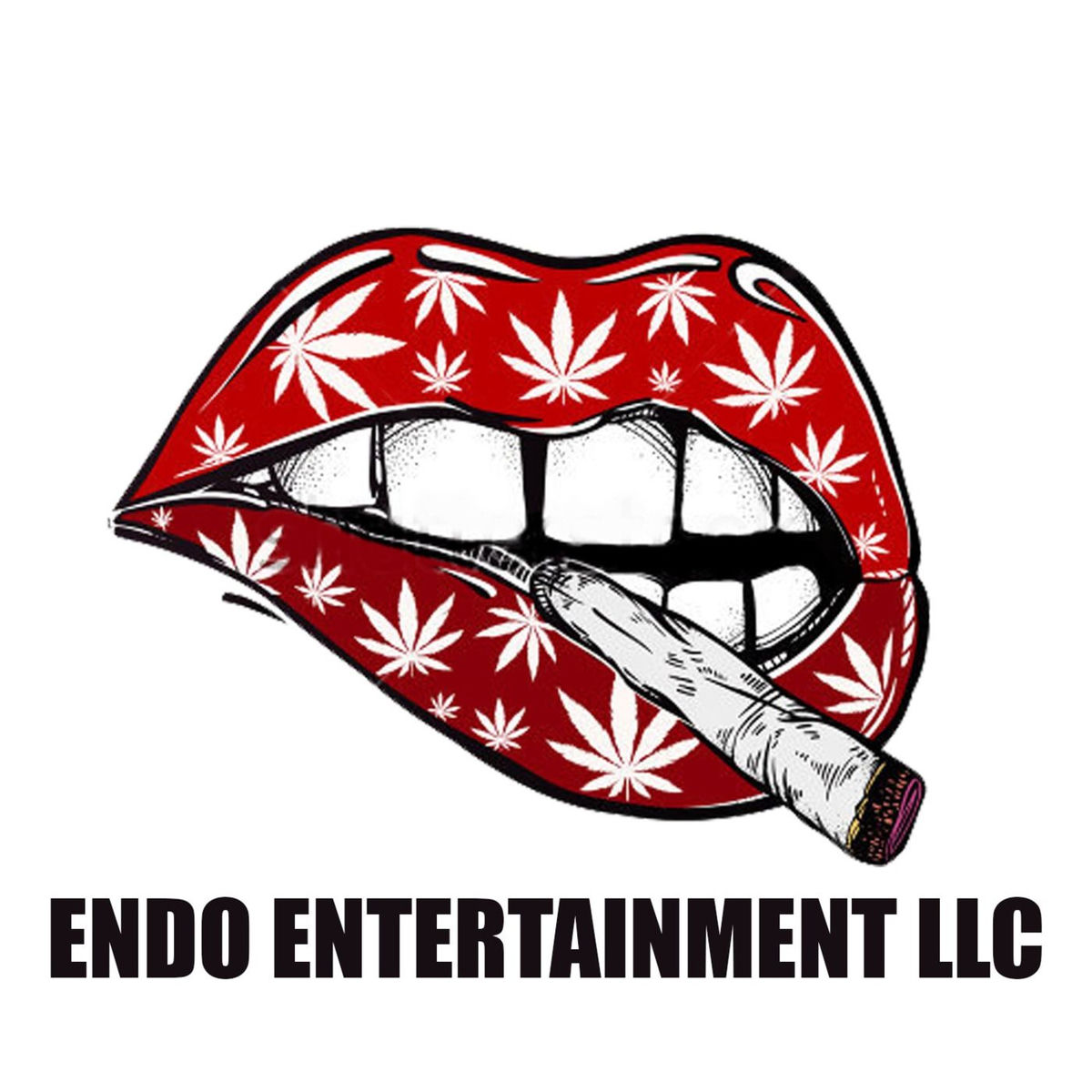 Show cover of EndoEnt