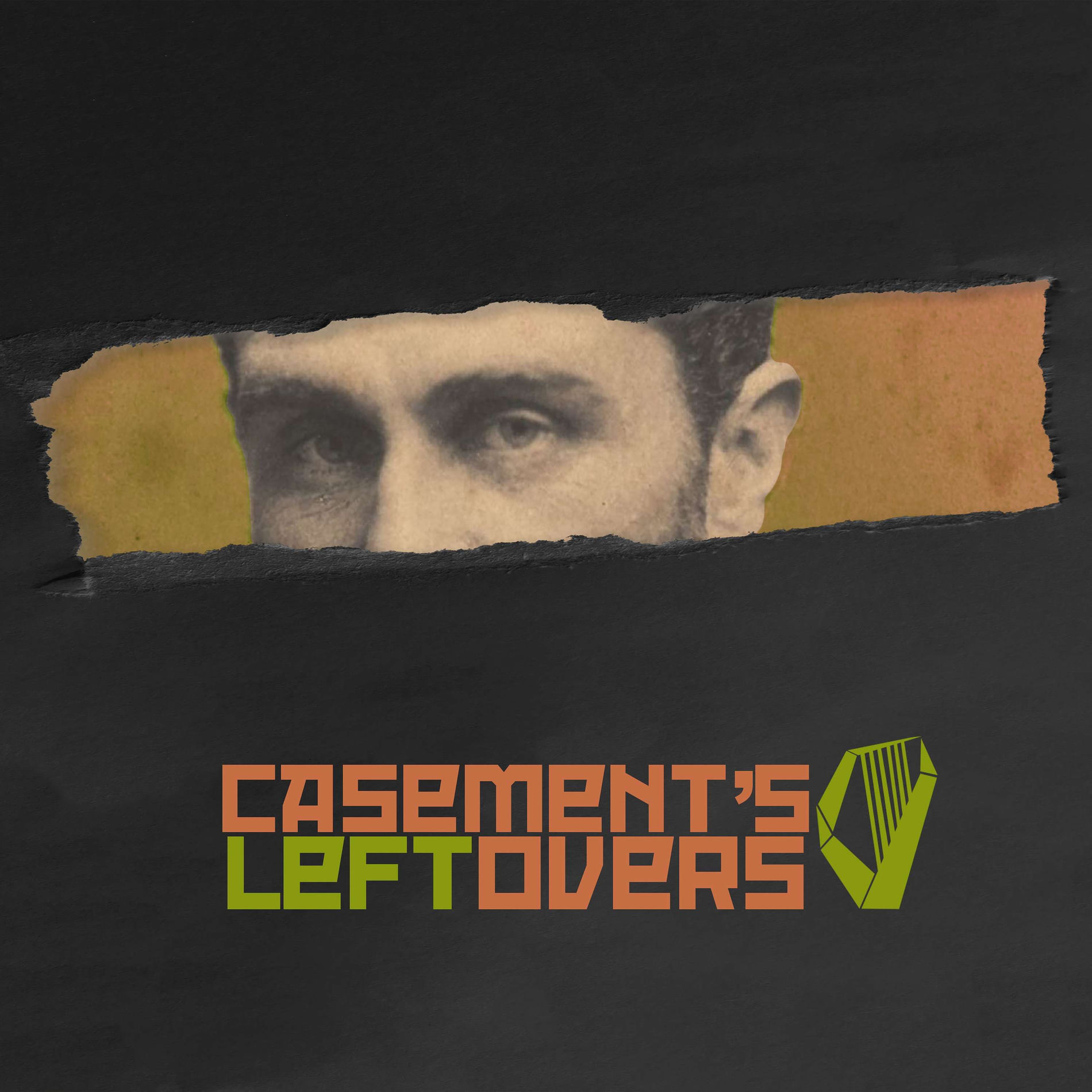 Show cover of Casement's Leftovers